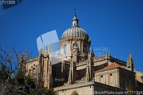 Image of New Cathedral Dome in Salamanca, Spain