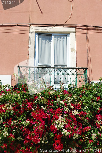 Image of Typical window balcony with flowers in Lisbon