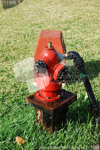 Image of Red fire hydrant