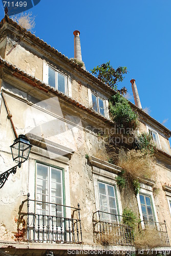 Image of Damaged facade building with wild clinging plants