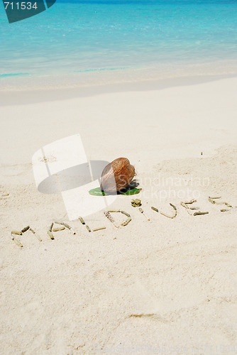 Image of Maldives written in a sandy tropical beach and coconut fruit