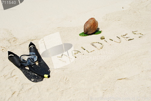 Image of Maldives concept with coconut fruit and snorkeling equipment