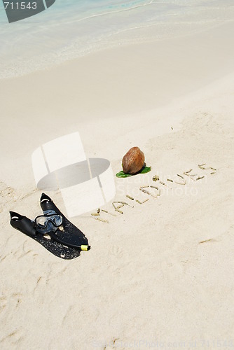 Image of Maldives concept with coconut fruit and snorkeling equipment