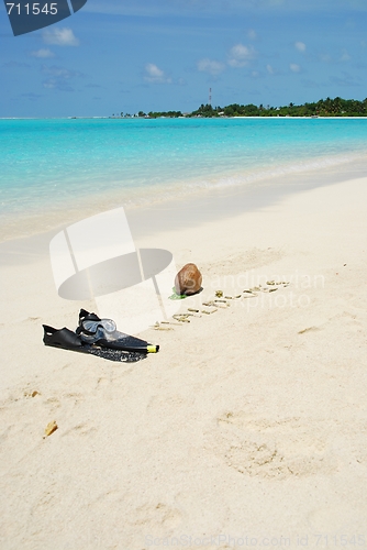 Image of Maldives concept with coconut fruit and snorkeling equipment