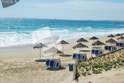 Image of Beach scene with coconuts area