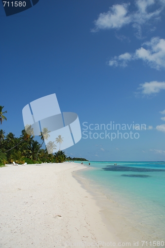 Image of Beach paradise with palm trees