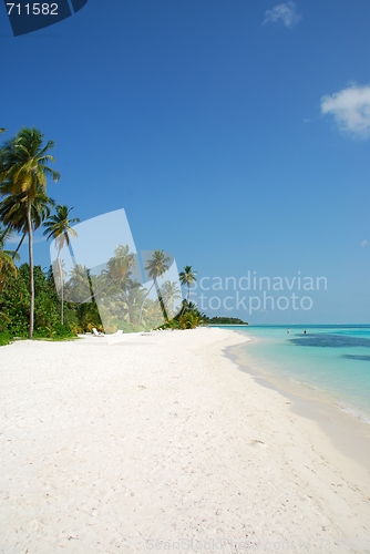 Image of Beach paradise with palm trees