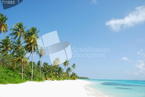 Image of Beach paradise with palm trees