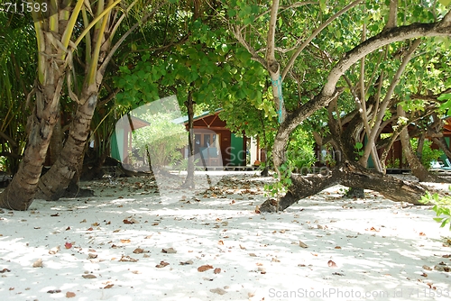 Image of Beach villas and nature scene in Maldives