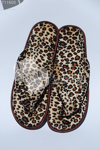 Image of Tigress flip-flops