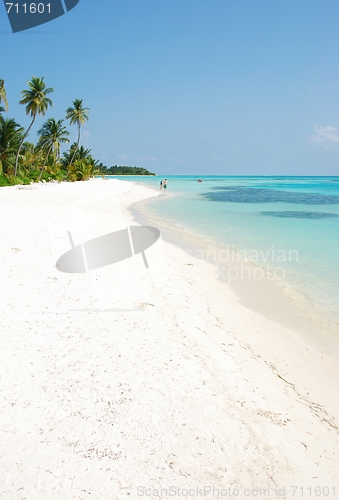 Image of Beach paradise with palm trees