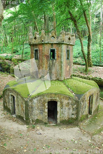 Image of Mossy house for ducks in the forrest