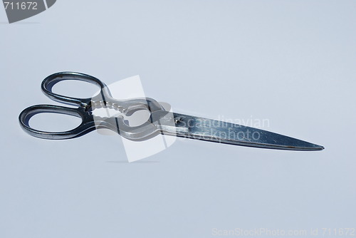 Image of Stainless steel scissor