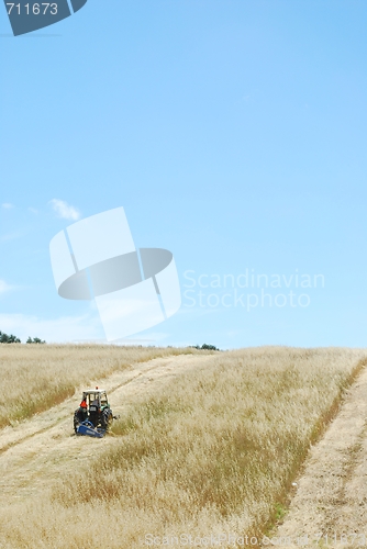 Image of Tractor harvesting wheat field