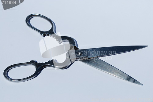 Image of Stainless steel scissor