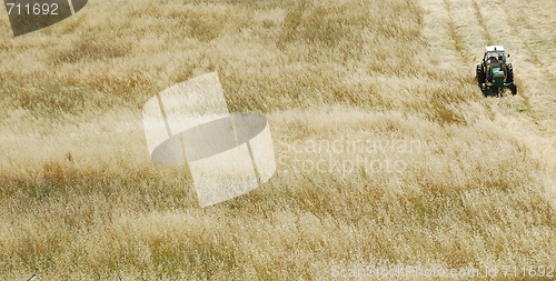 Image of Tractor harvesting wheat field