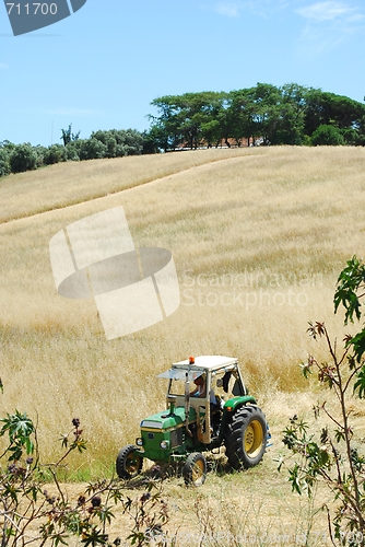 Image of Tractor harvesting wheat field