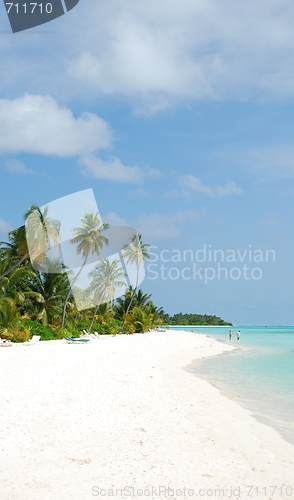 Image of Beach paradise with palm trees