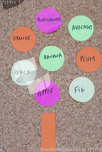 Image of Tree fruits concept on a colorful cork board