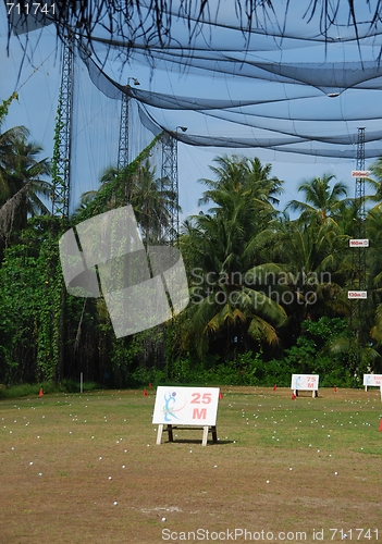 Image of Practicing Golf at the Driving Range