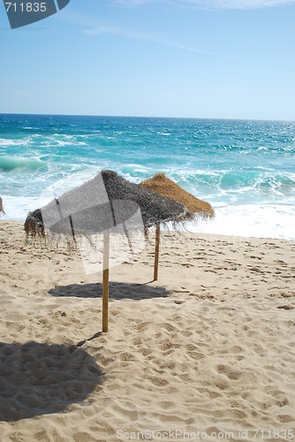 Image of Beach scene with coconuts area