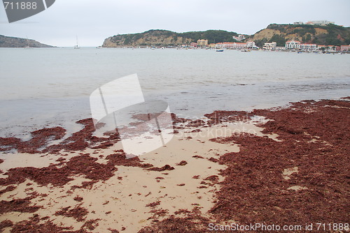 Image of Sao Martinho do Porto beach in Portugal