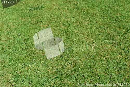 Image of Grass field