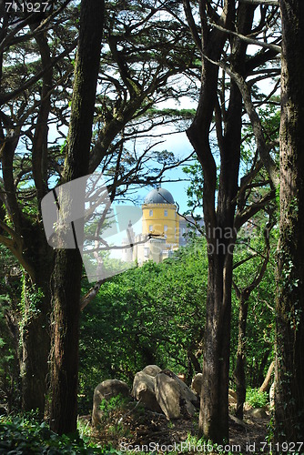 Image of Landscape to Pena Palace from the forrest