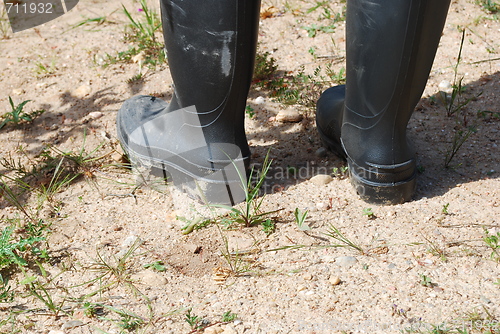 Image of Boots for agriculture work