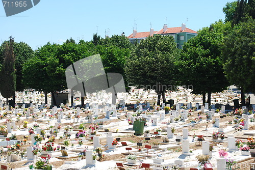 Image of Graveyard or cemetery (close up)