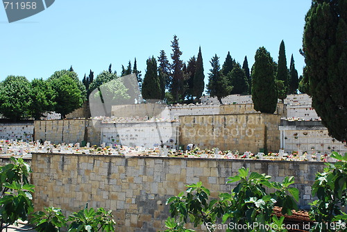 Image of Graveyard or cemetery (close up)