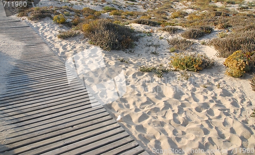 Image of Wooden walkway to beach