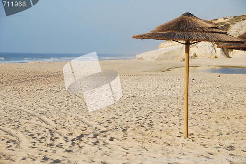 Image of Beach scene with coconuts area