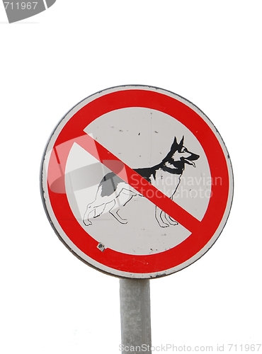 Image of No dog sign (isolated over white)