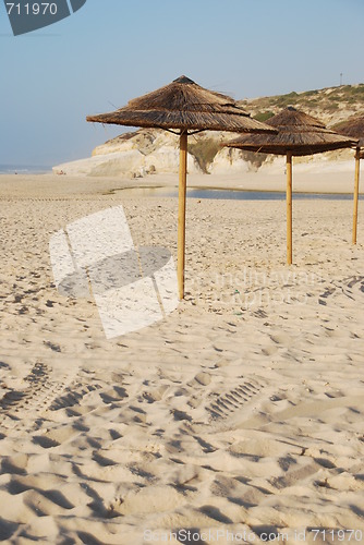 Image of Beach scene with coconuts area