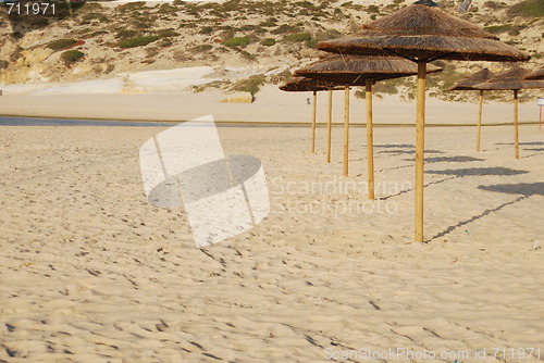 Image of Beach scene with coconuts area