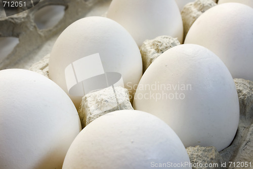 Image of Eggs in cardboard packing