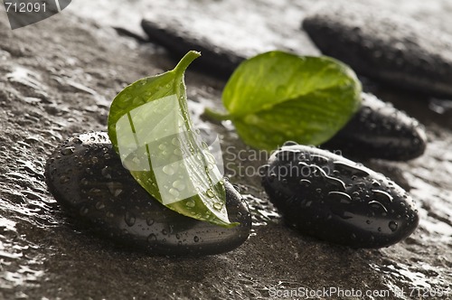 Image of Stones