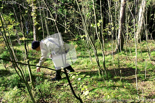 Image of mushroom picker