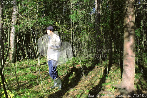 Image of mushroom picker