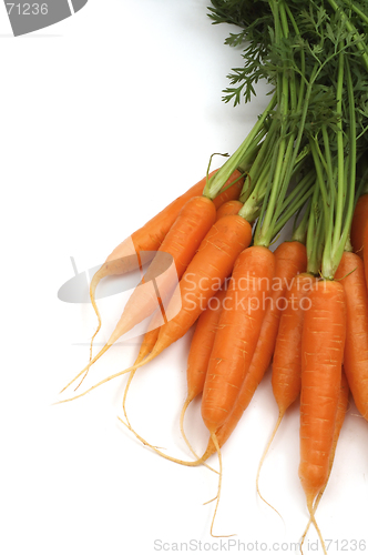 Image of Carrots