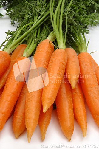 Image of Carrots