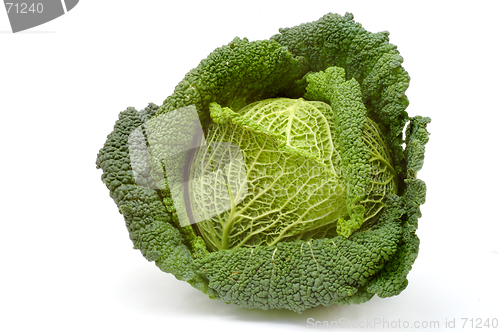 Image of Cabbage