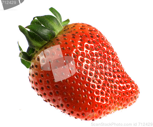 Image of Isolated strawberry