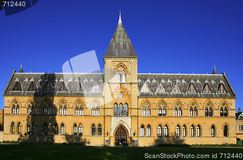 Image of Oxford University Natural History Museum