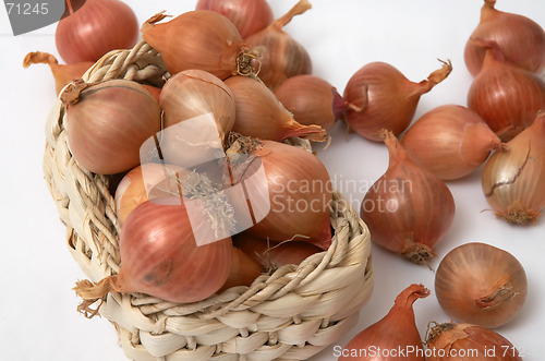 Image of Onion in the basket