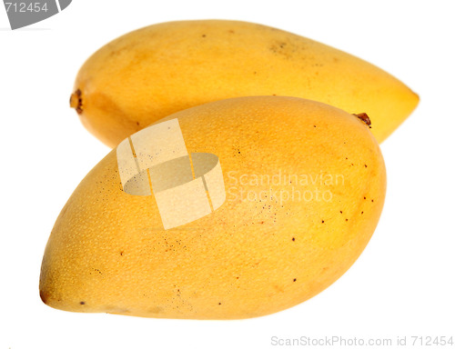 Image of Thai mangoes over white