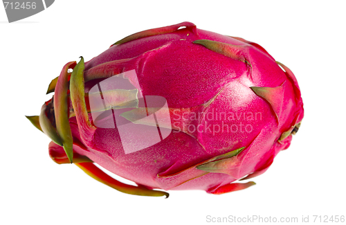 Image of Isolated dragon fruit on white