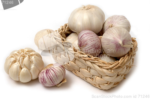 Image of Garlic in the basket