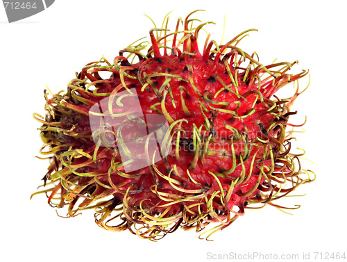 Image of Rambutan macro